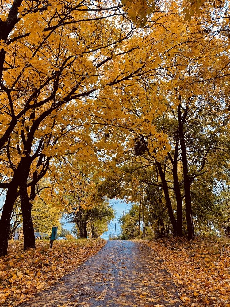 Photograph by Наумова Татьяна