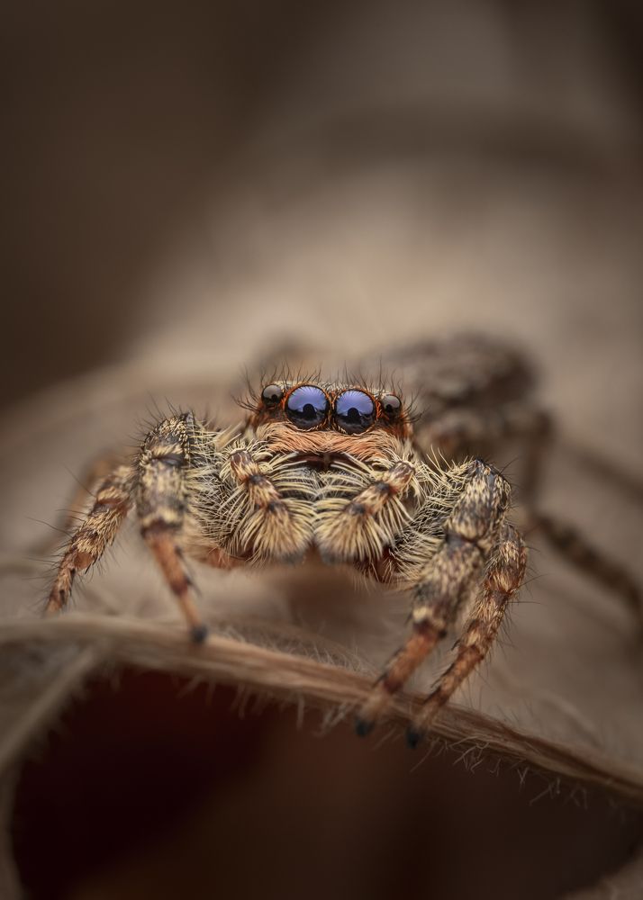 Фотография автора Krisztina Mácsai