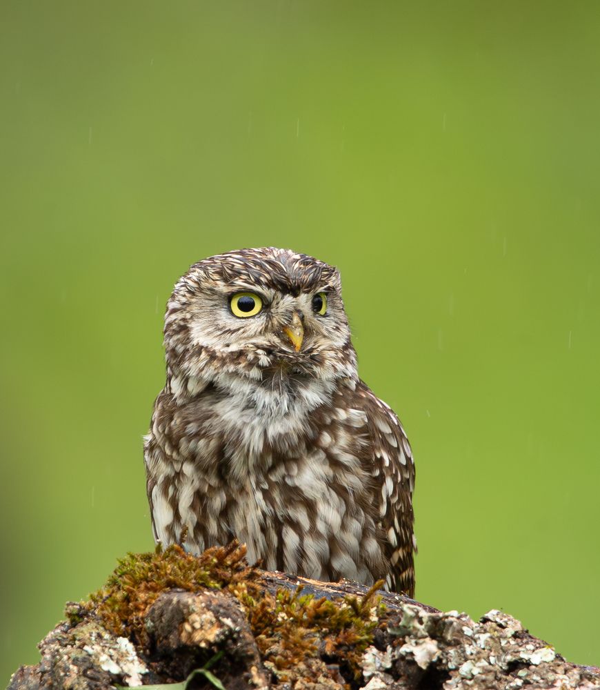 Photograph by alvaro berben marin