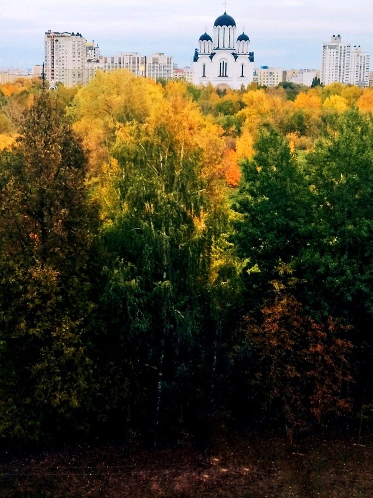 Фотография автора Елена Рузинова