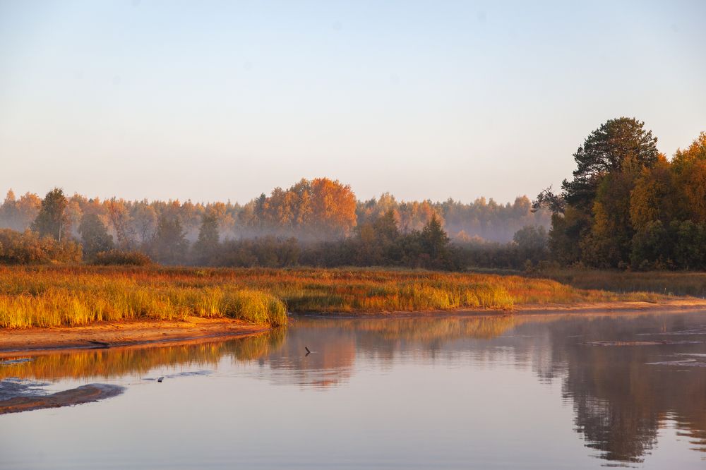 Photograph by Григорий Шишонков