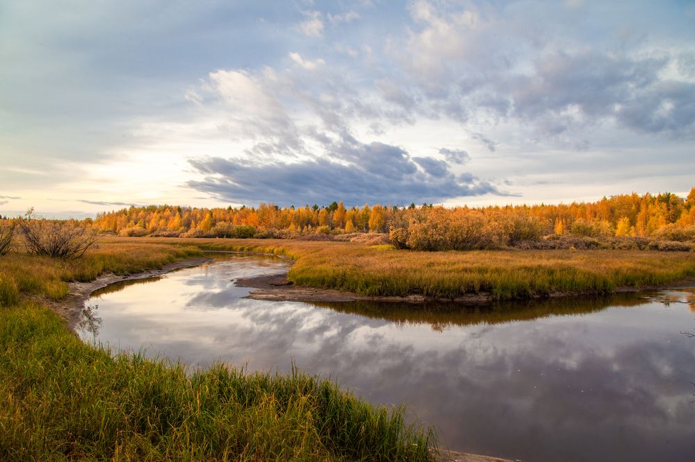 Photograph by Григорий Шишонков