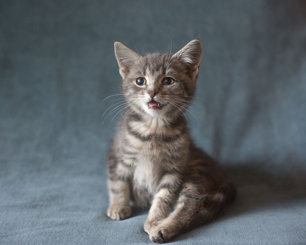 Photograph by Сергей Алексеев