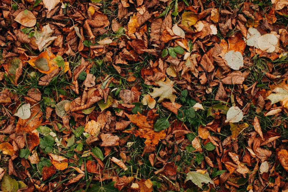 Photograph by Натали Захарова (Тай)