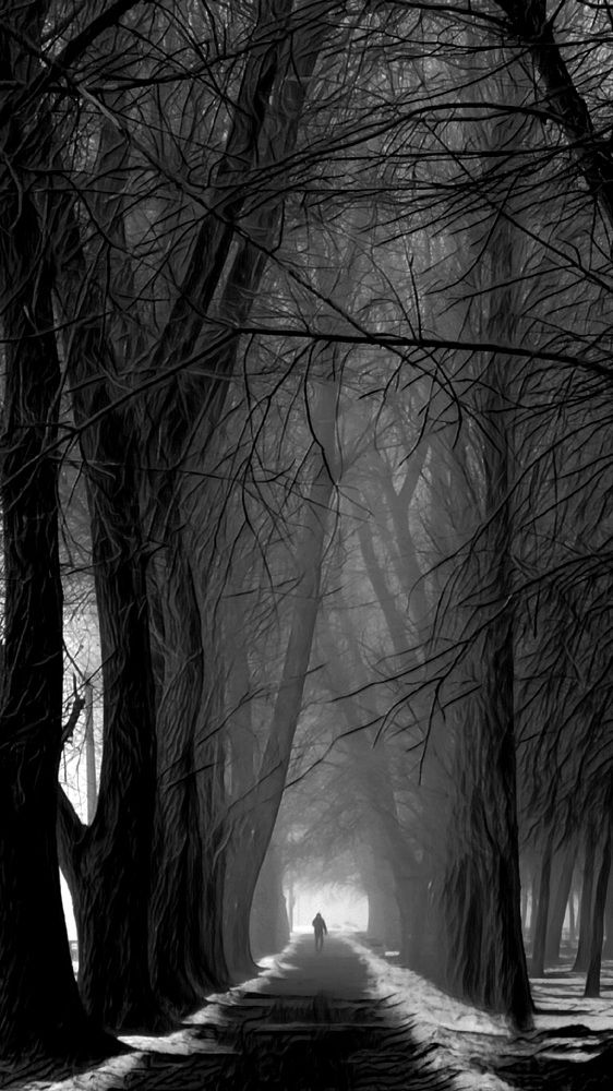 Туманный зимний день