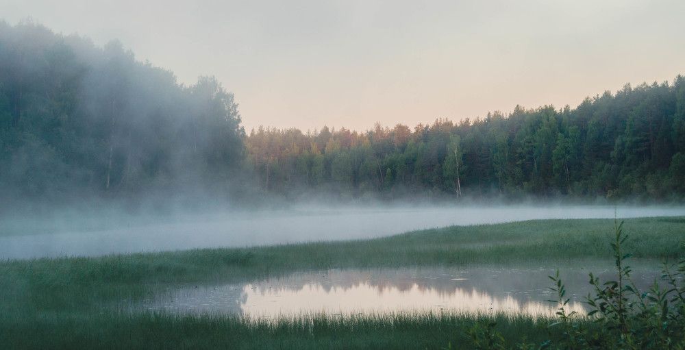 Photograph by Виктория