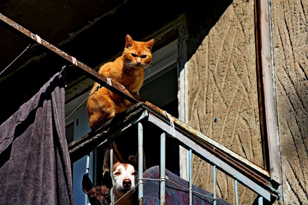 Photograph by Дмитрий Симагин