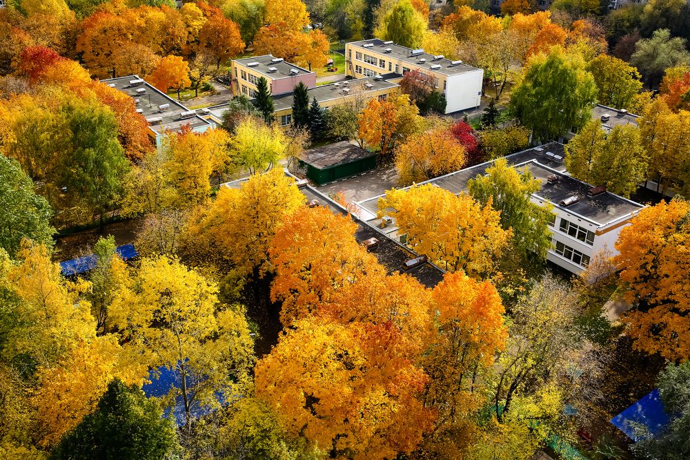 Photograph by Владимир Говоров