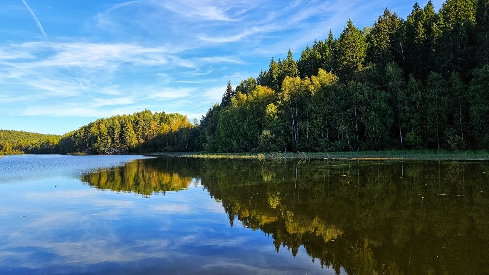 Photograph by Оксана Новикова