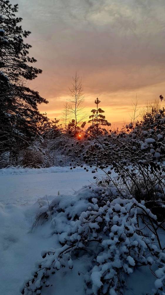 Фотография автора Наталья