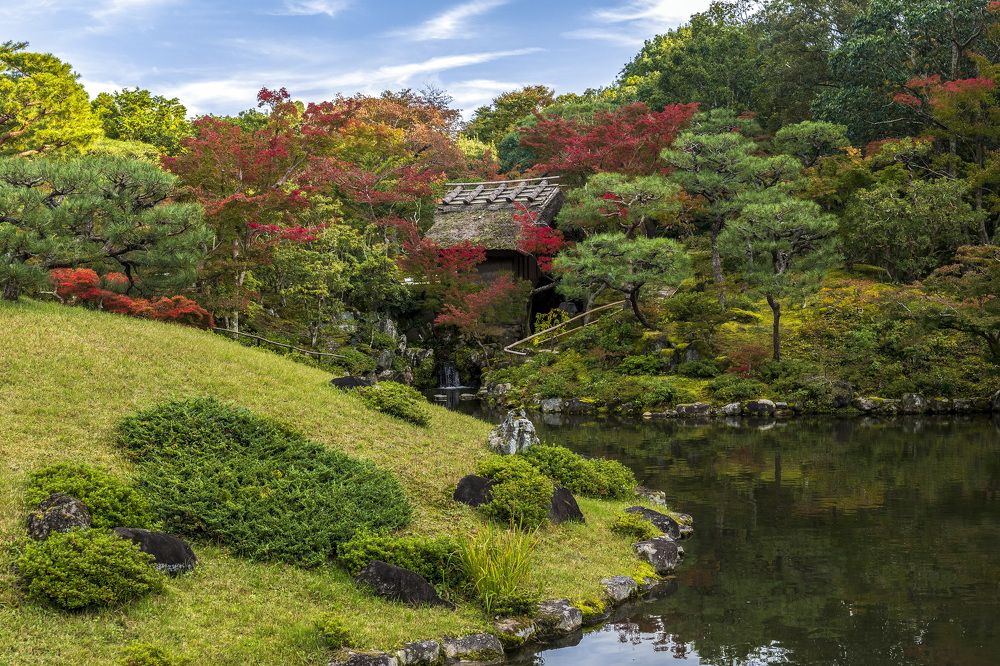 Photograph by Александр Журавлев