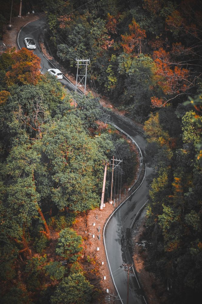 Photograph by AJAY KUMAR