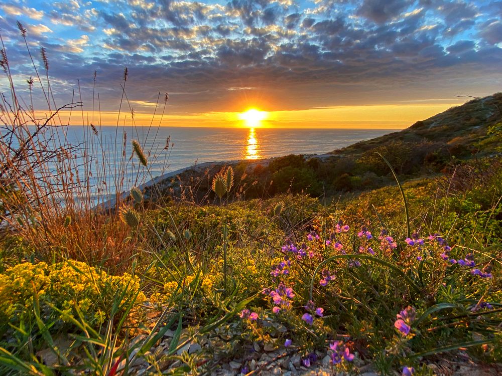 Фотография автора Екатерина Круглик