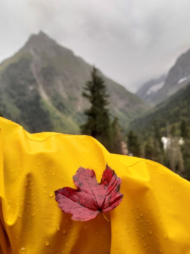 Photograph by Олег Лебедев