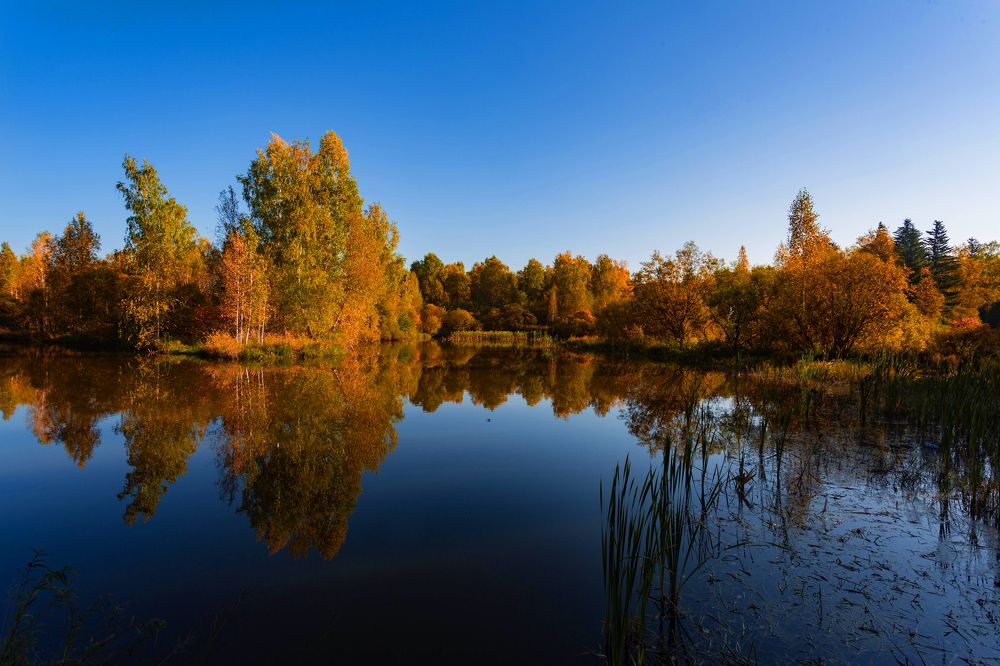 Photograph by Евгений Авдеев