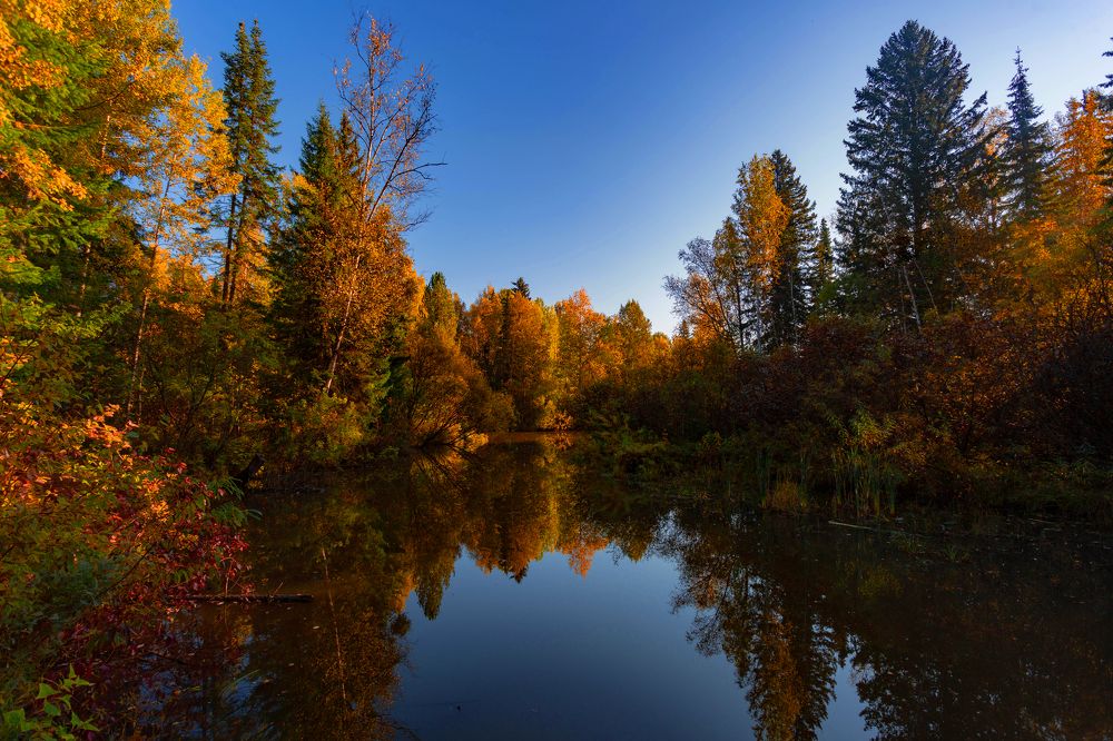 Photograph by Евгений Авдеев