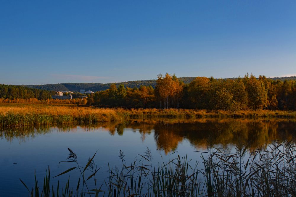 Photograph by Евгений Авдеев