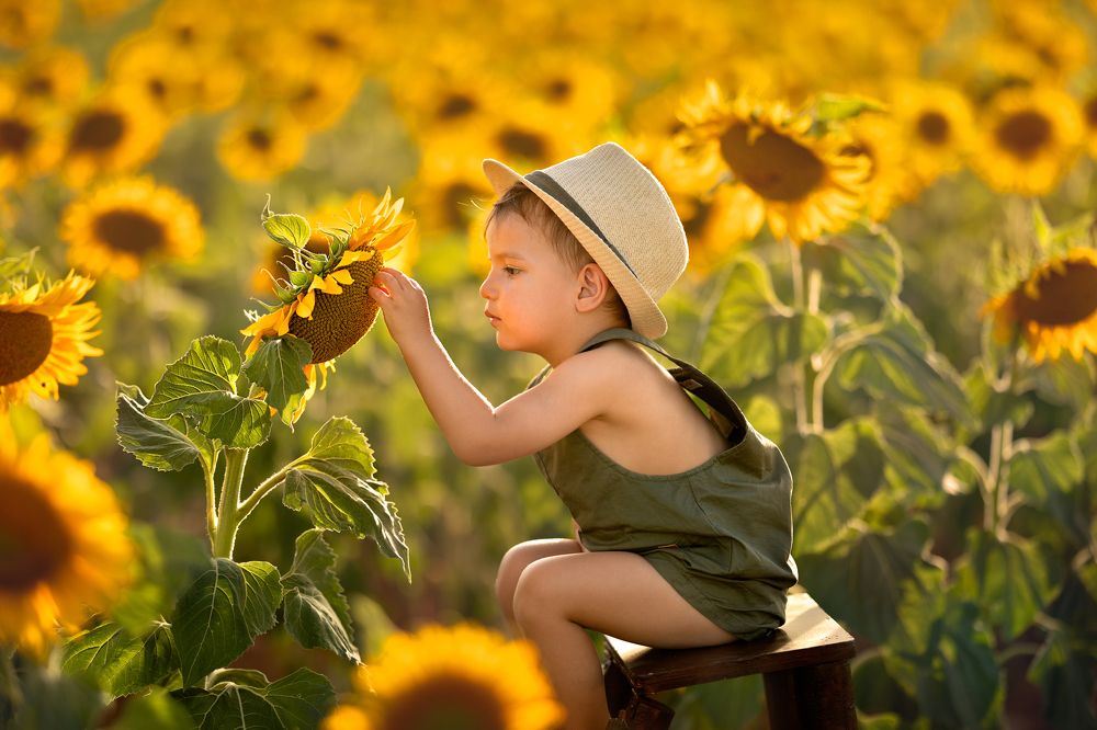 Photograph by Natalia Vansan de Amorin