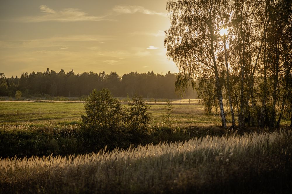 Photograph by Валентина Тарасова