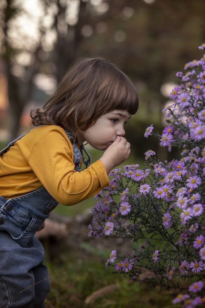Photograph by Екатерина Аматуни