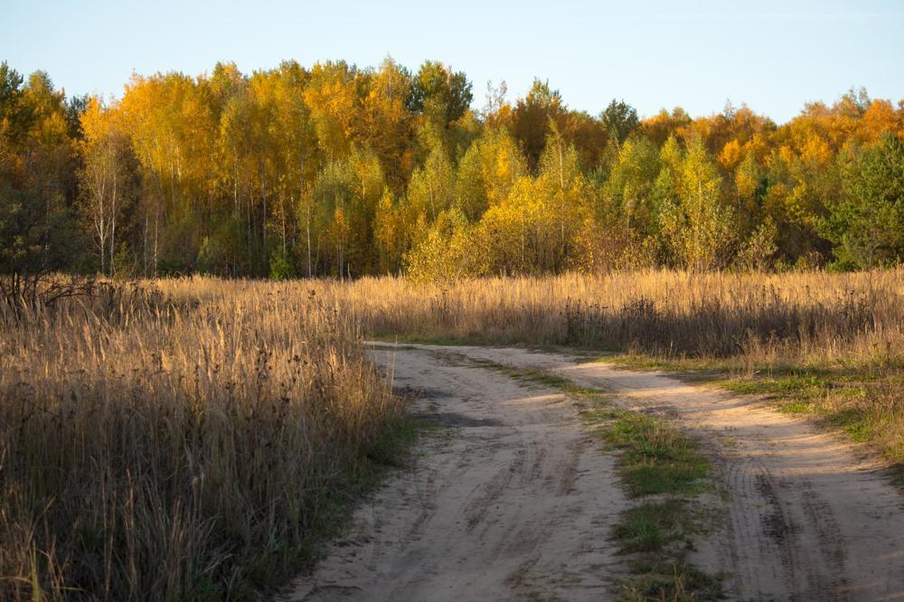 Photograph by Елена Царёва