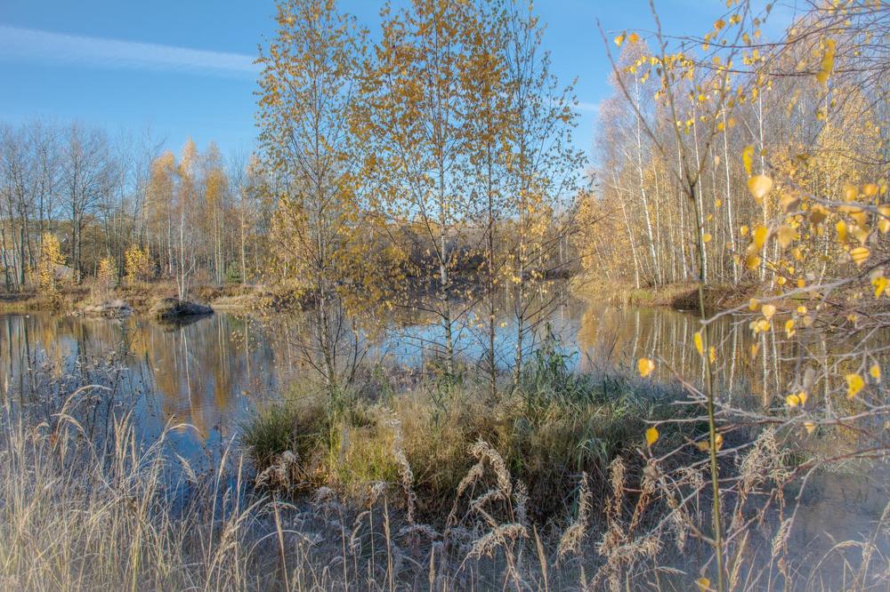 Photograph by Елена Царёва