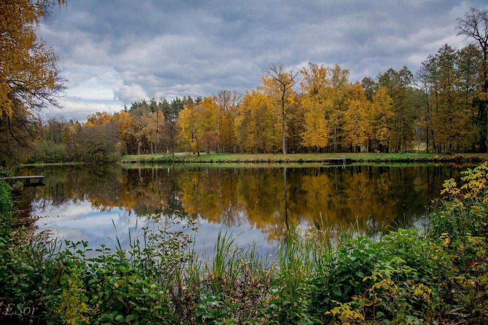 Photograph by Елена Царёва