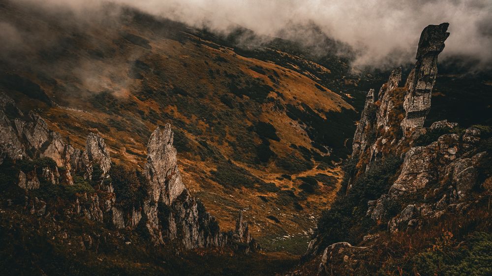 Карпатские Шпицы