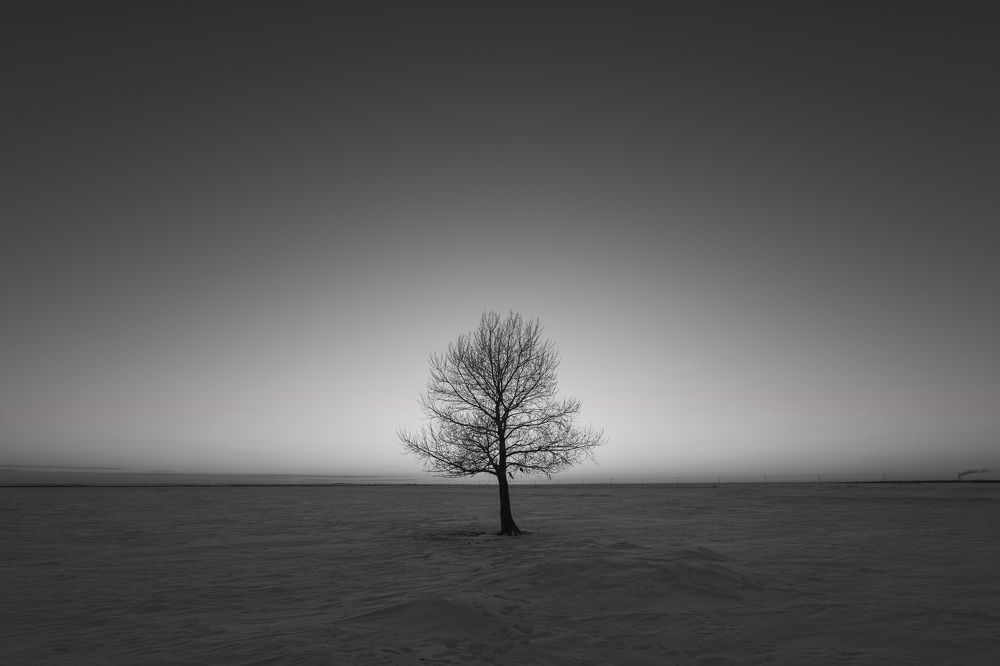 Photograph by Chen Chen