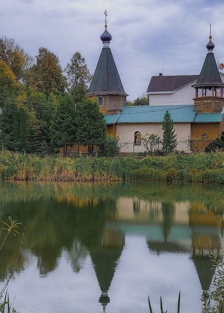 Фотография автора Светлана Алексеева