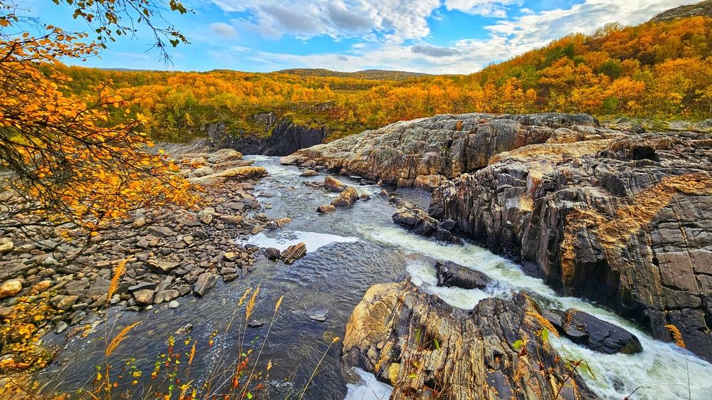 Photograph by Оксана Новикова