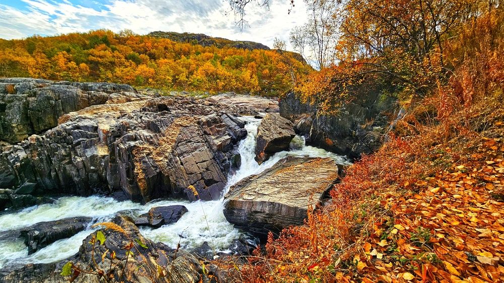 Photograph by Оксана Новикова