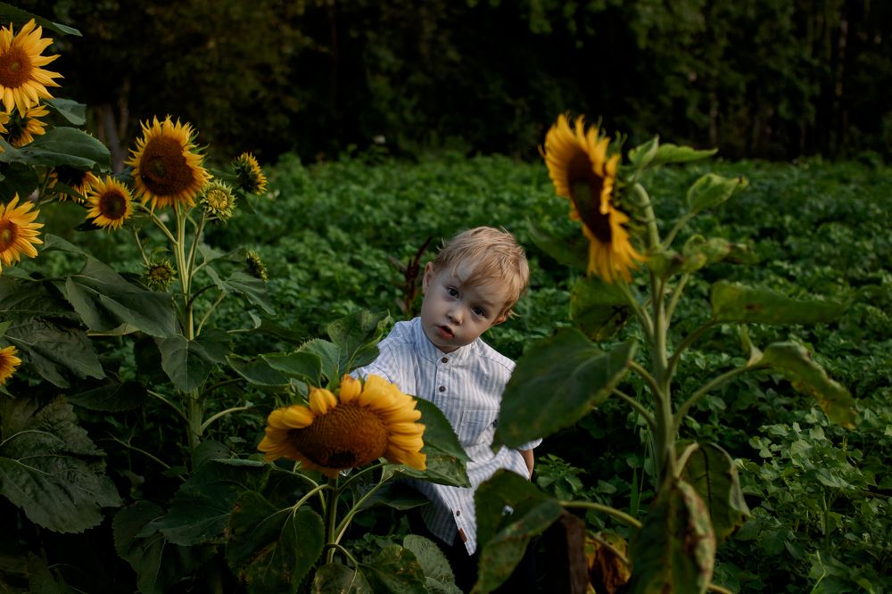 Photograph by Екатерина Федотова