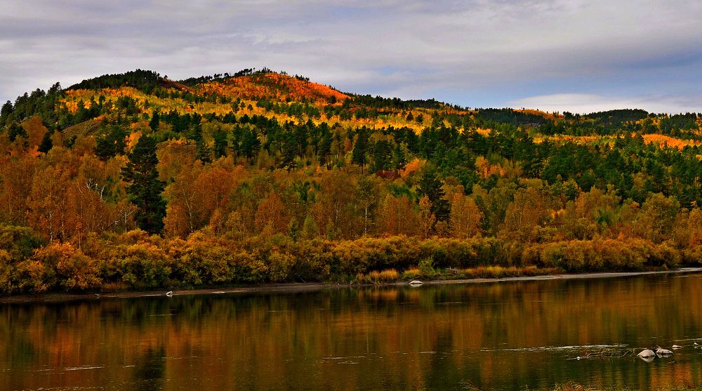 Золотая осень.