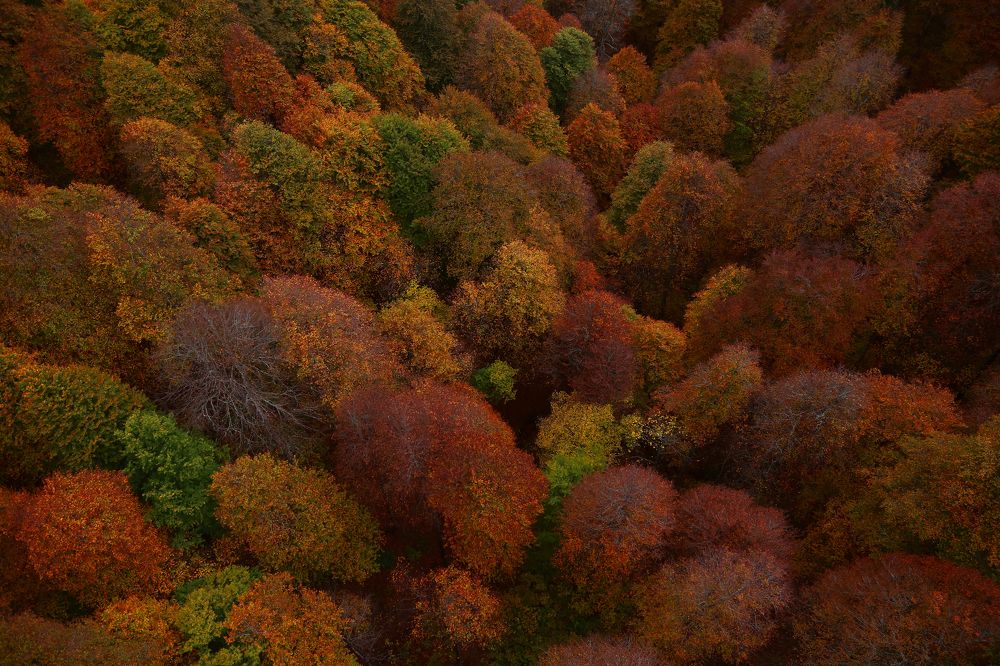 Photograph by Владимир Притчин