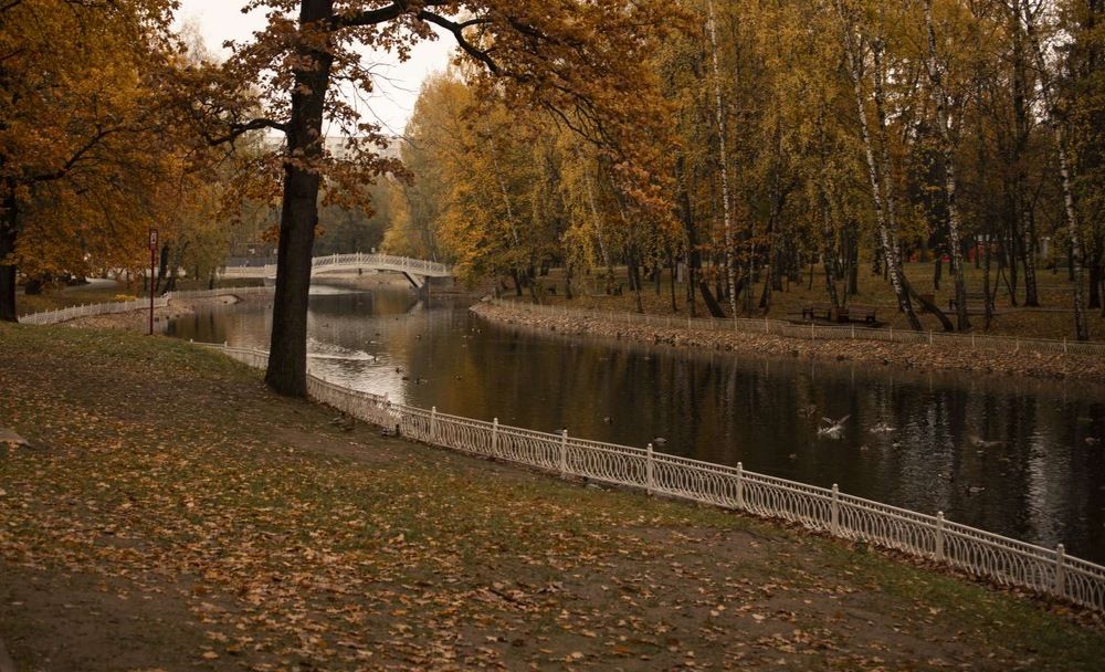 Photograph by Татьяна Артник