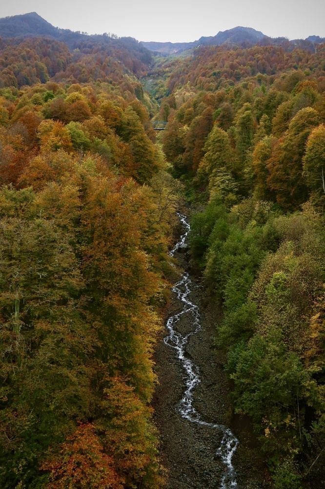 Photograph by Владимир Притчин