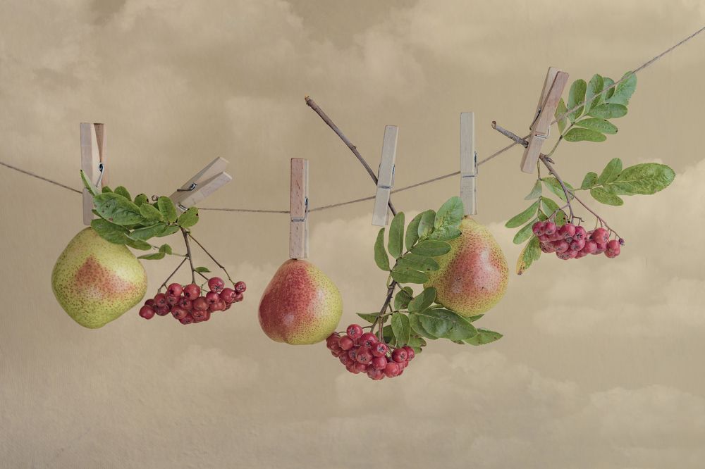 Фотография автора Вихрова Юлия