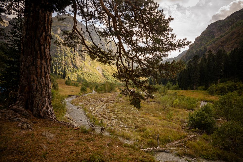 Photograph by Изабелла