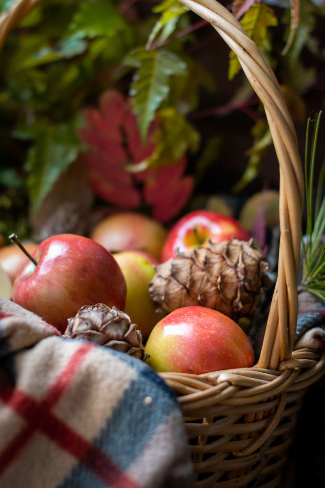 Photograph by Лина Матвеева