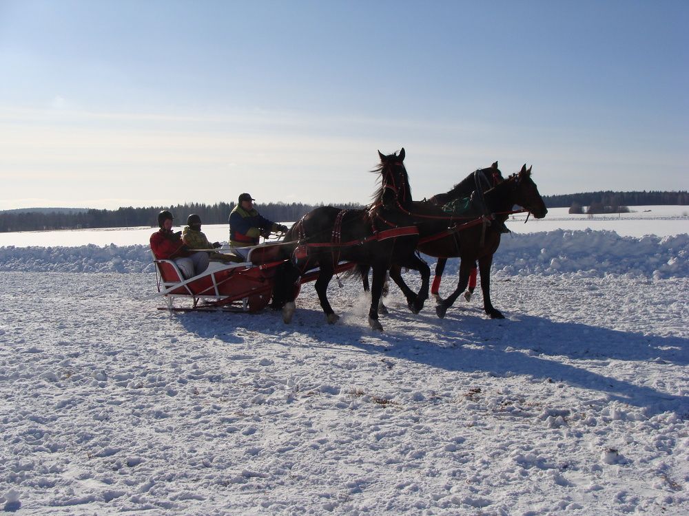 Photograph by Николай Худяков