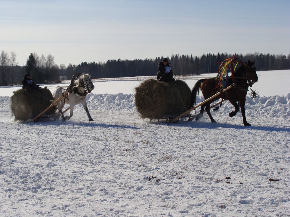 Photograph by Николай Худяков