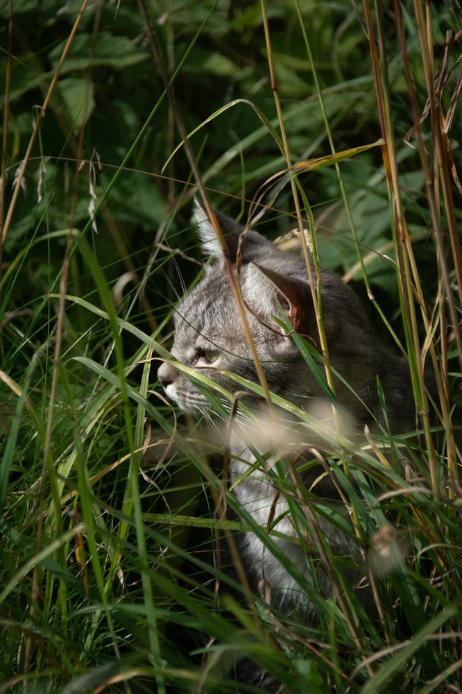 Photograph by Ольга