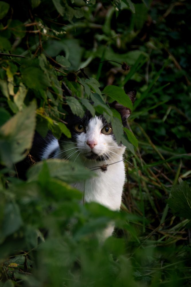 Photograph by Ольга