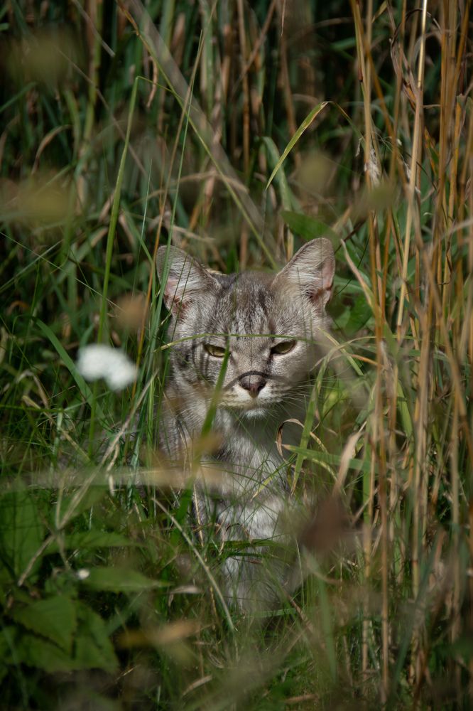 Photograph by Ольга