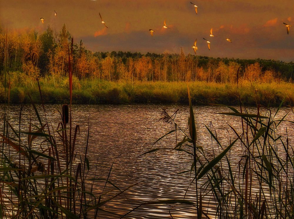 Photograph by Нина Будникова