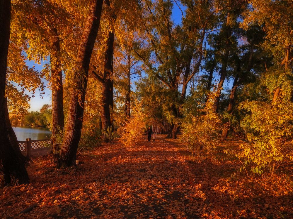 Photograph by Нина Будникова