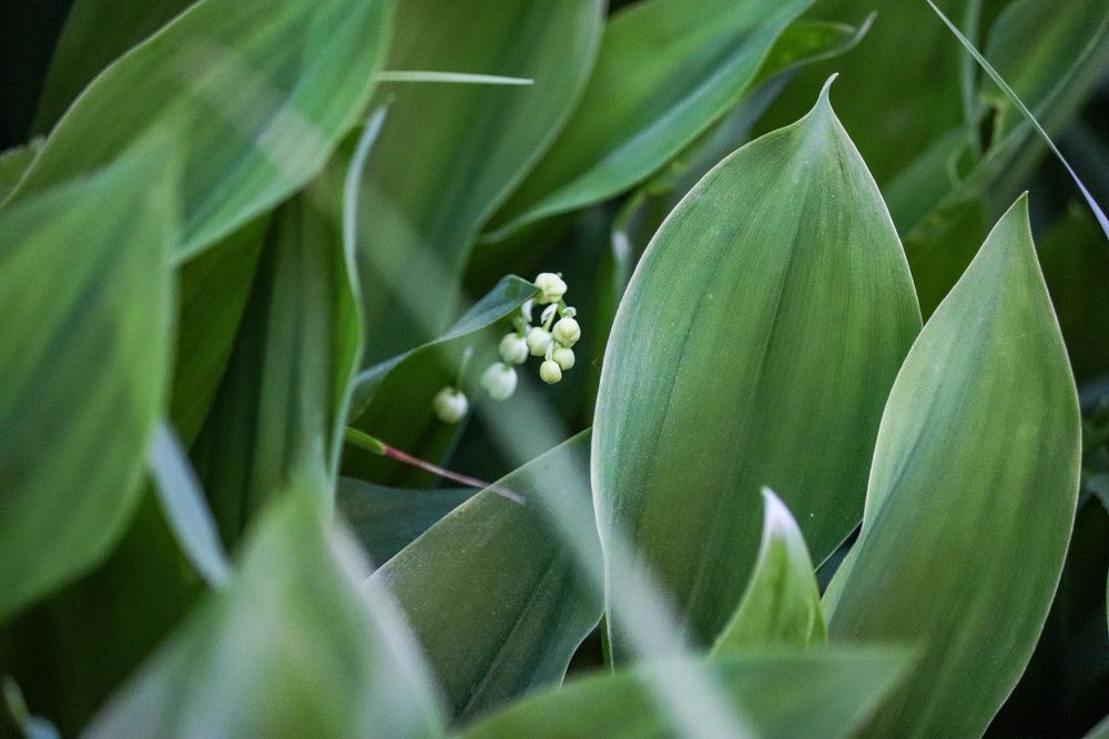 Photograph by Иван Весельников