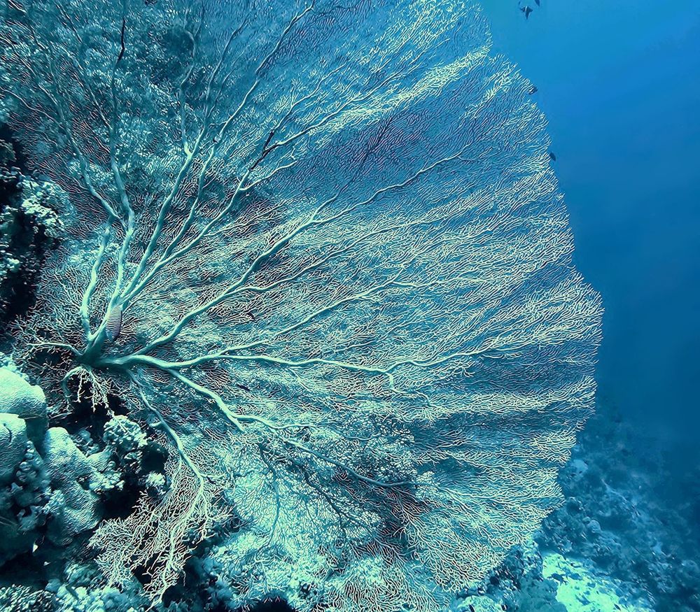 Photograph by Чернышов Игорь