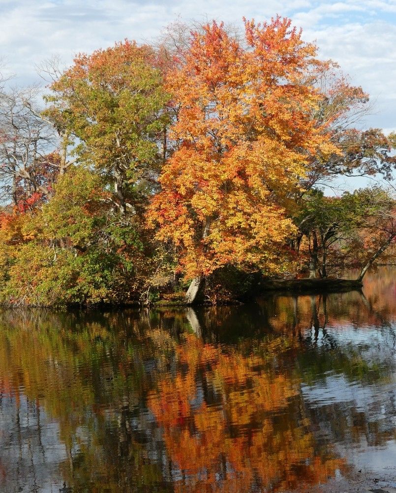 Photograph by Leo Tujak